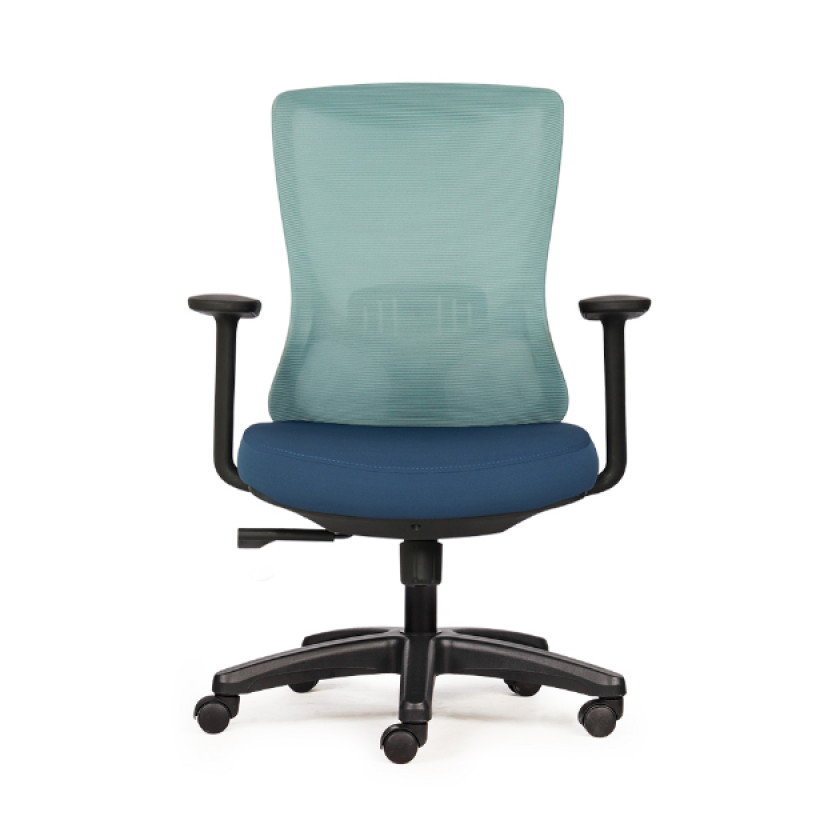 Ghế công thái học M11411