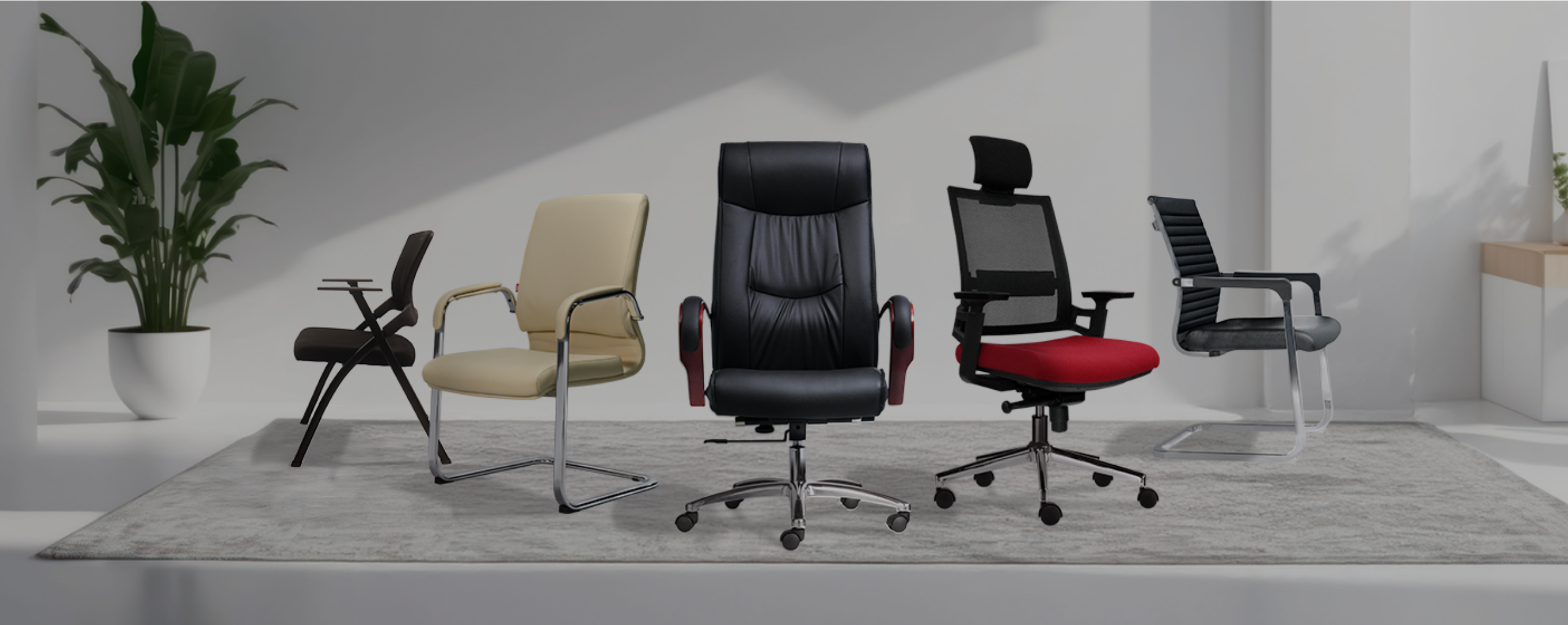 Sản Phẩm Bán Chạy Của The Mia