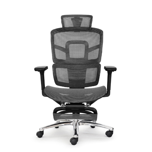 Combo công thái học