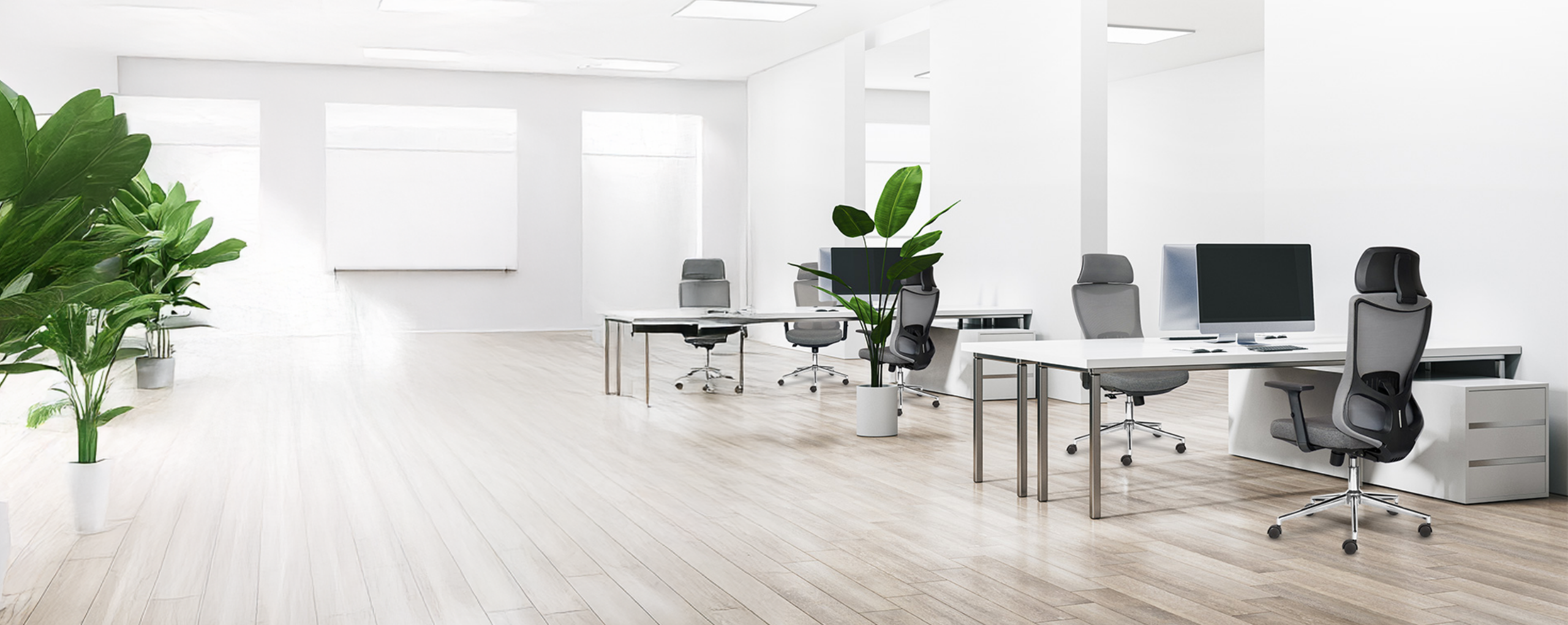 Ghế công thái học M1106 D - 01